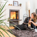 Kamineinsatz Schmid Lina 5551 h Tür hochschiebbar